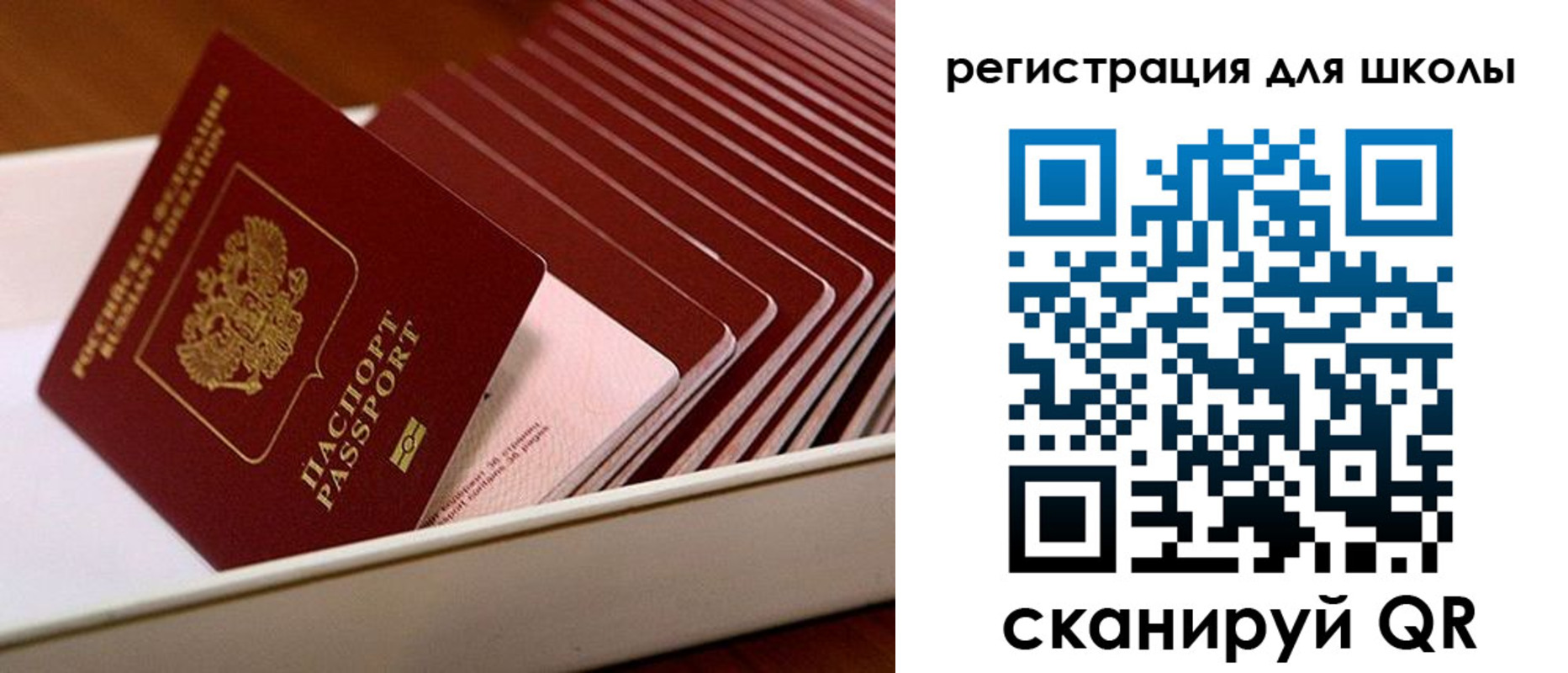 прописка гарантия в Балее